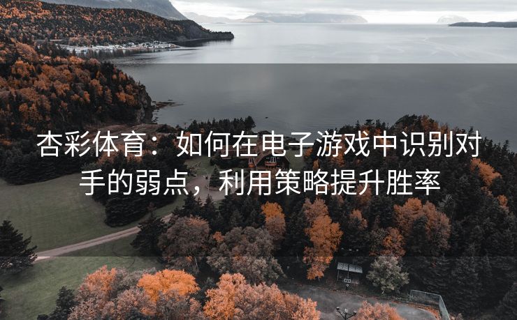 杏彩体育：如何在电子游戏中识别对手的弱点，利用策略提升胜率